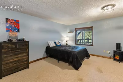 208 Illini Drive, Woodland Park, CO 80863 - Photo 19