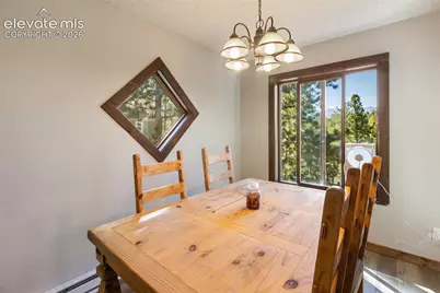 208 Illini Drive, Woodland Park, CO 80863 - Photo 7