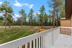 300 Ute Trail, Woodland Park, CO 80863 - Photo 23