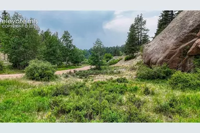 830 Pinon Lane, Florissant, CO 80816 - Photo 9