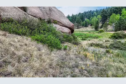 830 Pinon Lane, Florissant, CO 80816 - Photo 23