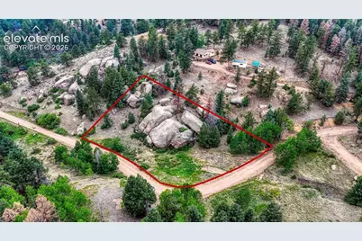 830 Pinon Lane, Florissant, CO 80816 - Photo 3