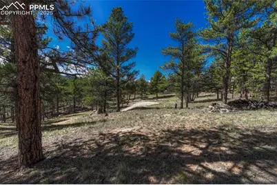 101 Dunlap Drive, Florissant, CO 80816 - Photo 23