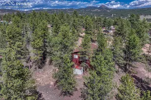 101 Dunlap Dr, Florissant, CO 80816 - Photo 39