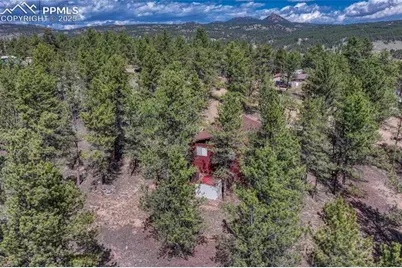 101 Dunlap Drive, Florissant, CO 80816 - Photo 39