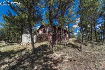 101 Dunlap Drive, Florissant, CO 80816 - Photo 21
