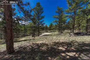 101 Dunlap Dr, Florissant, CO 80816 - Photo 23