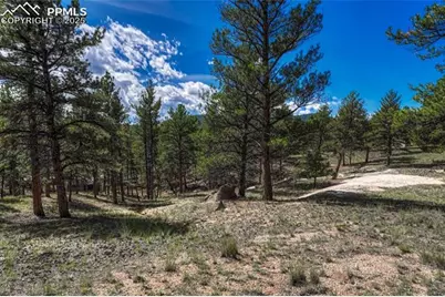 101 Dunlap Drive, Florissant, CO 80816 - Photo 25