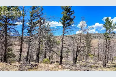 Lot 228 Forbes Park Road, Fort Garland, CO 81133 - Photo 11