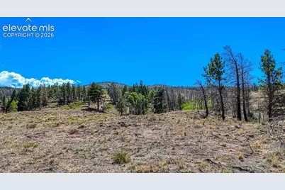 Lot 228 Forbes Park Road, Fort Garland, CO 81133 - Photo 9