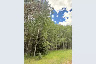 616 Spring Valley Lane, Florissant, CO 80816 - Photo 1