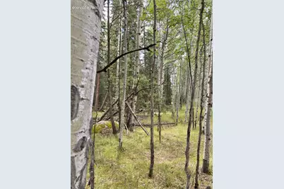 616 Spring Valley Lane, Florissant, CO 80816 - Photo 11