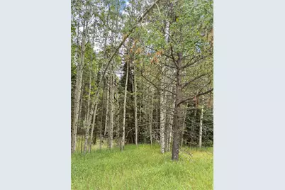 616 Spring Valley Lane, Florissant, CO 80816 - Photo 7