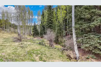 42 Rabbit Circle, Florissant, CO 80816 - Photo 7