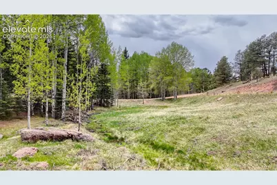 42 Rabbit Circle, Florissant, CO 80816 - Photo 3
