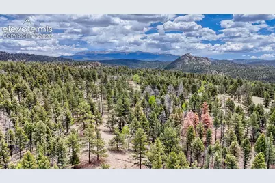 42 Rabbit Circle, Florissant, CO 80816 - Photo 13