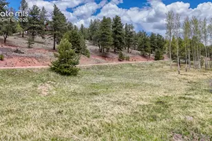 42 Rabbit Cir, Florissant, CO 80816 - Photo 1