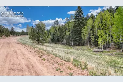 42 Rabbit Circle, Florissant, CO 80816 - Photo 5