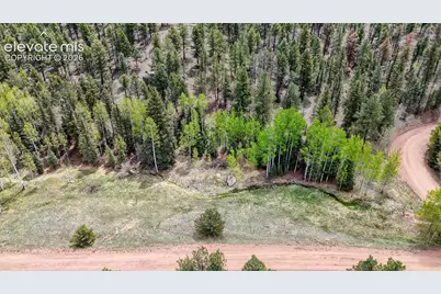 42 Rabbit Circle, Florissant, CO 80816 - Photo 19