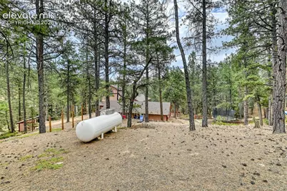 124 Trout Creek Drive, Divide, CO 80814 - Photo 7