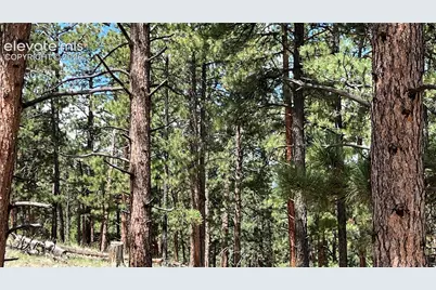 207 Little Bear Drive, Westcliffe, CO 81252 - Photo 9