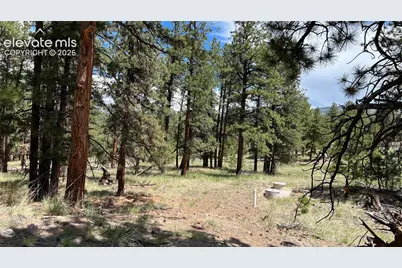 207 Little Bear Drive, Westcliffe, CO 81252 - Photo 5