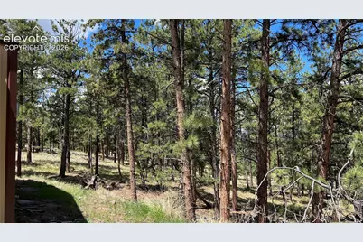 207 Little Bear Drive, Westcliffe, CO 81252 - Photo 7