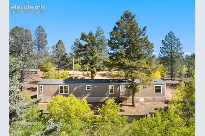 695 Elk Creek Drive, Divide, CO 80814 - Photo 3
