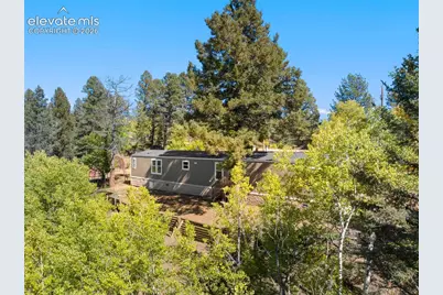 695 Elk Creek Drive, Divide, CO 80814 - Photo 5