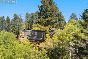 695 Elk Creek Dr, Divide, CO 80814 - Photo 5