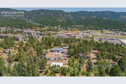 1030 Woodland Avenue, Woodland Park, CO 80863 - Photo 25