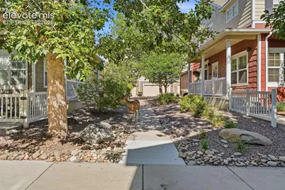 1489 Red Peak Drive, Castle Rock, CO 80109 - Photo 23