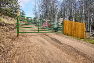 715 W Bison Creek Trail, Divide, CO 80816 - Photo 37