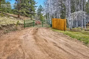 715 W Bison Creek Trail, Florissant, CO 80816 - Photo 35