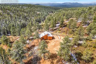 715 W Bison Creek Trail, Florissant, CO 80816 - Photo 41