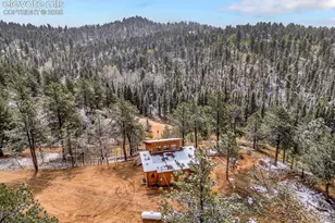 715 W Bison Creek Trail, Divide, CO 80816 - Photo 39
