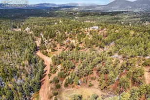 715 W Bison Creek Trail, Florissant, CO 80816 - Photo 49