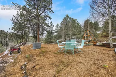 715 W Bison Creek Trail, Divide, CO 80816 - Photo 33