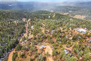 715 W Bison Creek Trail, Florissant, CO 80816 - Photo 47