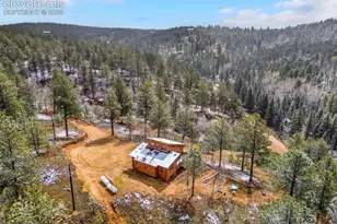715 W Bison Creek Trail, Florissant, CO 80816 - Photo 39
