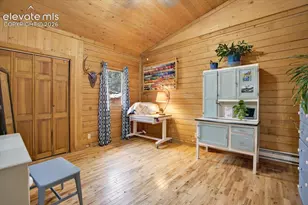 715 W Bison Creek Trail, Florissant, CO 80816 - Photo 17