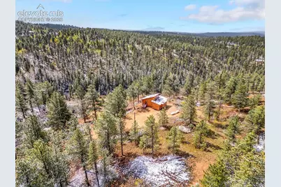 715 W Bison Creek Trail, Florissant, CO 80816 - Photo 43