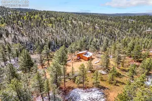 715 W Bison Creek Trail, Florissant, CO 80816 - Photo 43
