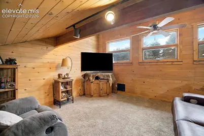 715 W Bison Creek Trail, Florissant, CO 80816 - Photo 23