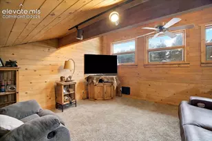 715 W Bison Creek Trail, Florissant, CO 80816 - Photo 23