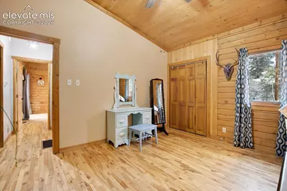 715 W Bison Creek Trail, Florissant, CO 80816 - Photo 19