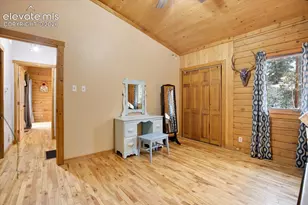 715 W Bison Creek Trail, Florissant, CO 80816 - Photo 19