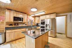 715 W Bison Creek Trail, Florissant, CO 80816 - Photo 5