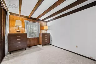 534 Brook Dr, Lake George, CO 80827 - Photo 11