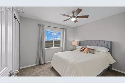 3786 Vineyard Circle, Colorado Springs, CO 80922 - Photo 19